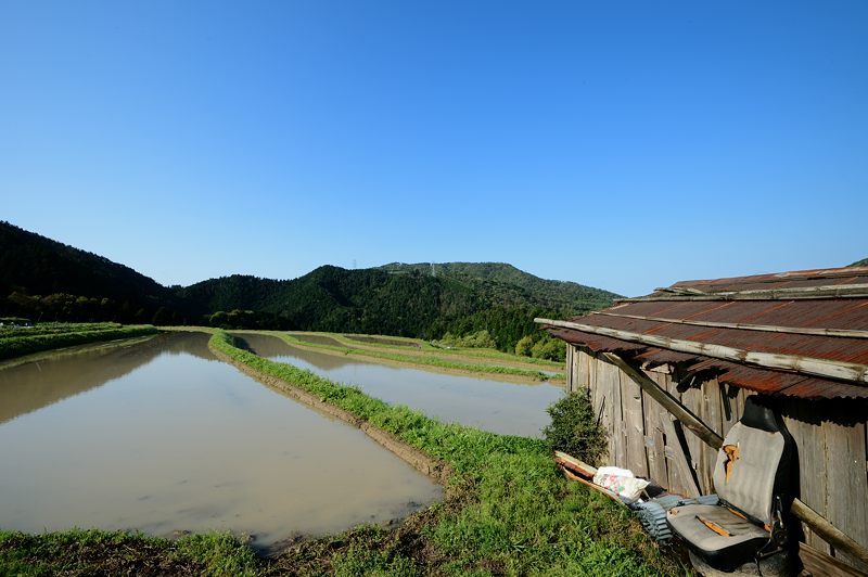 宕陰の棚田・其の一_f0032011_19553717.jpg