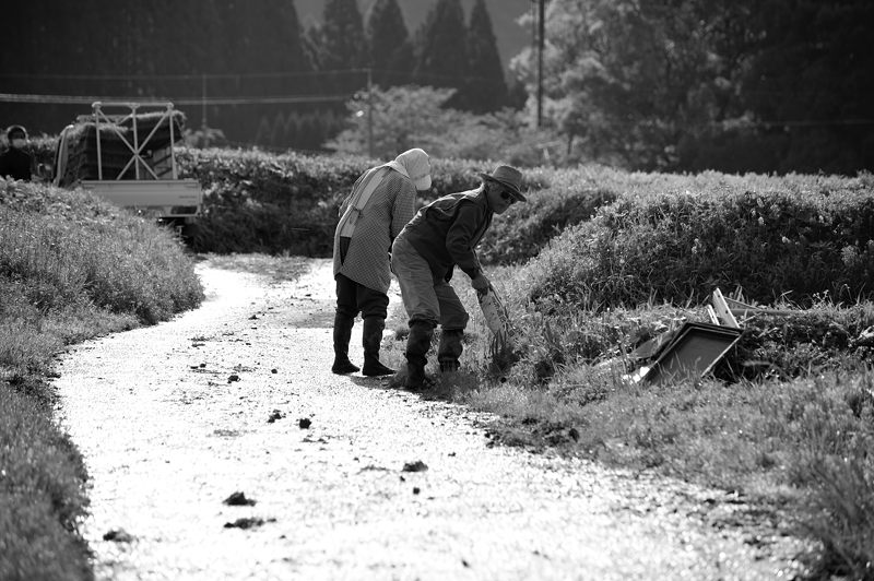 宕陰の棚田・其の一_f0032011_1956384.jpg