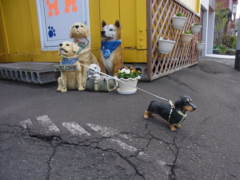 札幌らしからぬ春の風景_c0025115_2195551.jpg