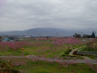 八ヶ岳ヒーリングツアー 第二弾 最終回_c0200917_1243278.jpg