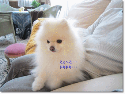 b0167519_9201556.gif