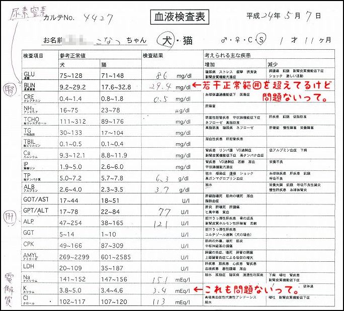 ＧＷが終わったら、お誕生日ウィーク。_d0179828_85926.jpg