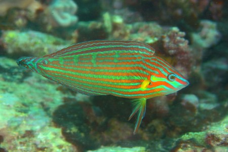 b0100730_232588.jpg