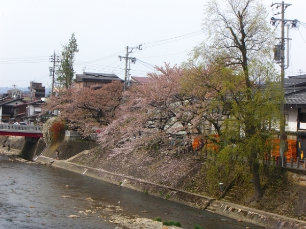 a0099131_1221036.jpg