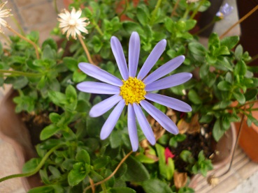 c0237432_13311711.jpg