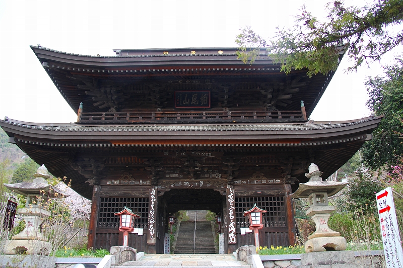 f0229832_1653693.jpg