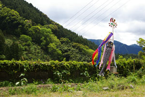 ＊わらびのおしる_a0030038_7274448.jpg