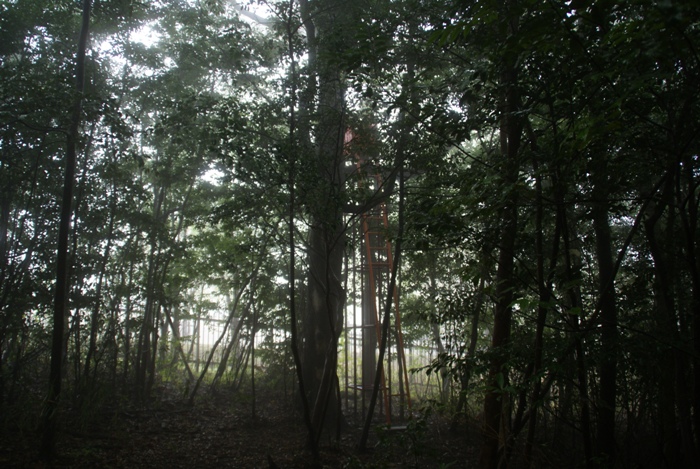 霧島アートの森。～ ひとりよがりのAM編。_c0022340_12383320.jpg