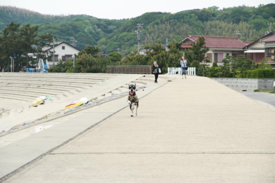 e0034141_97468.jpg