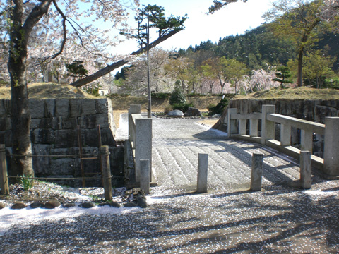 桜吹雪の二人_b0145843_0581145.jpg