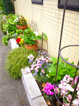 細長い花壇の工夫 花とテーブルblog