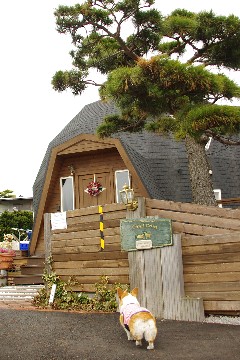 f0045846_954998.jpg