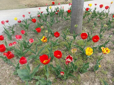 八色の森公園の緑_a0084753_11201815.jpg