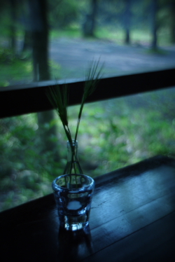f0214858_214580.jpg