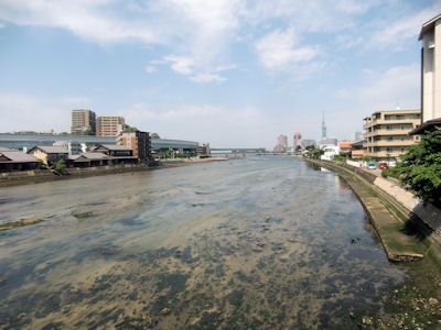 室見川で潮干狩り 西部リゾートのスタッフブログ