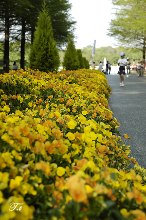 長居植物園へ行って来ました☆_c0070460_11424140.jpg