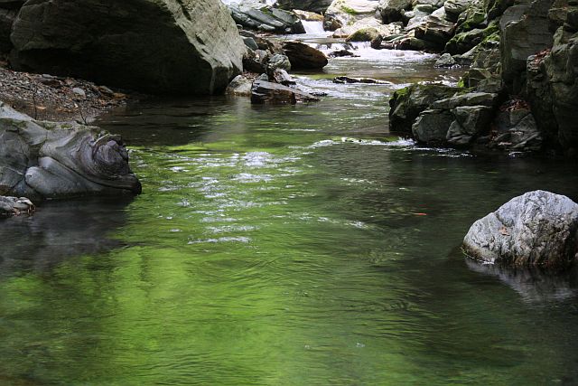 e0220163_179191.jpg