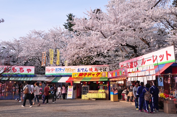 弘前公園の桜を、和歌にのせて_c0048667_2140271.jpg