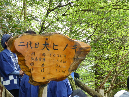 『春の新緑 御神木の里探訪ツアー』行ってきました!_c0238069_10291679.jpg