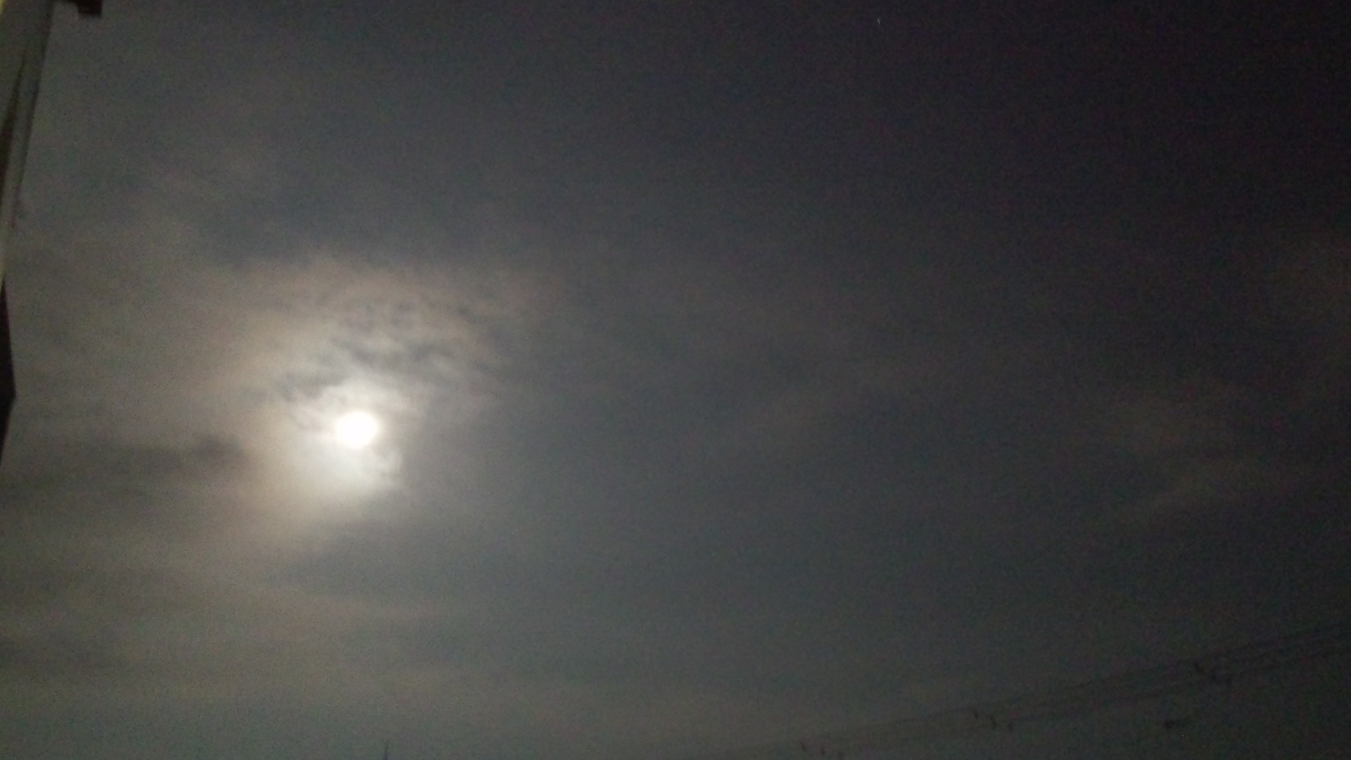 d0116870_1055341.jpg