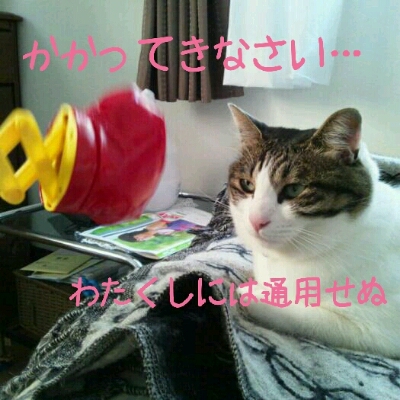 f0238772_1684753.jpg