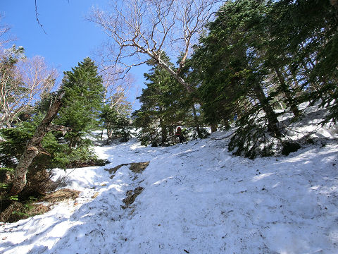 c0002874_02188.jpg