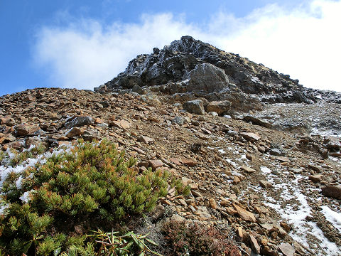 c0002874_0262810.jpg