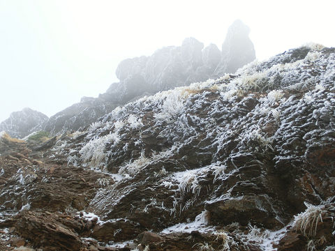 c0002874_0275523.jpg