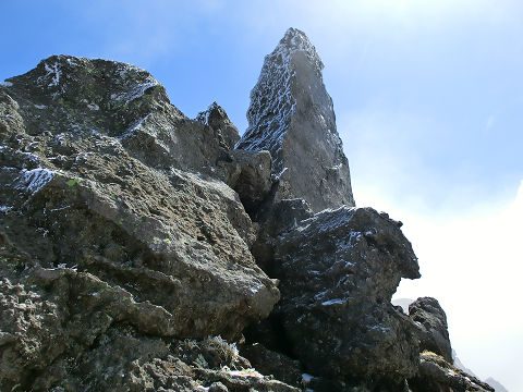 c0002874_028403.jpg