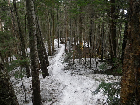 c0002874_0462676.jpg