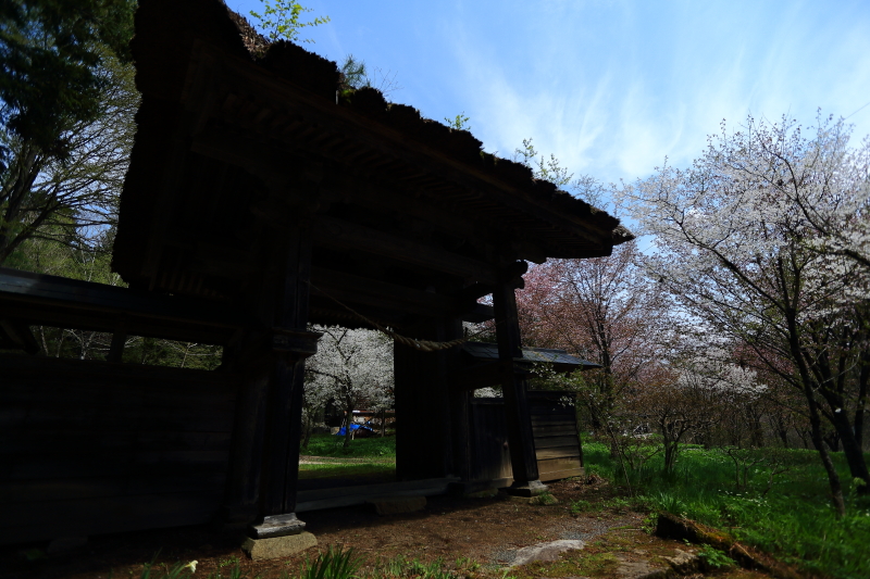 早池峰神社の桜_f0075075_16464854.jpg