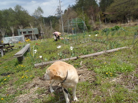 f0052277_115956.jpg