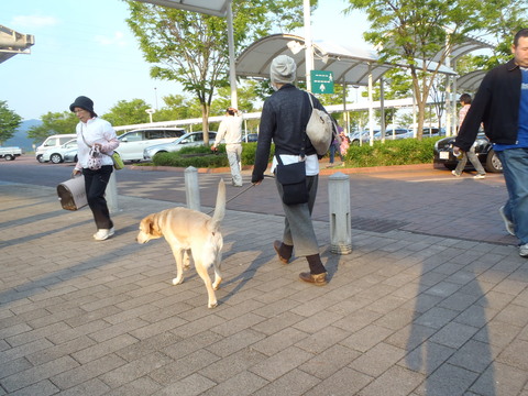 f0052277_155381.jpg