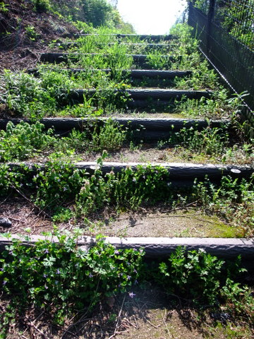 a0043982_1925211.jpg