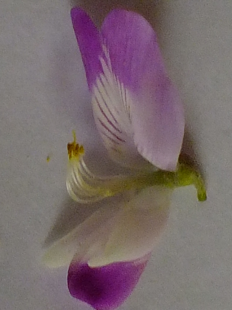 e0145782_1824546.jpg