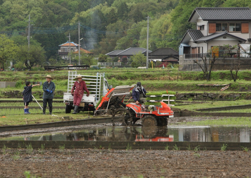 田植え　２０１２・０５・０４_e0143883_20535650.jpg