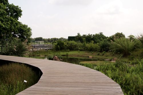 b0108186_22372766.jpg