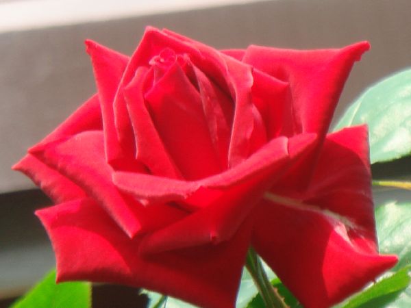 b0101991_13445267.jpg
