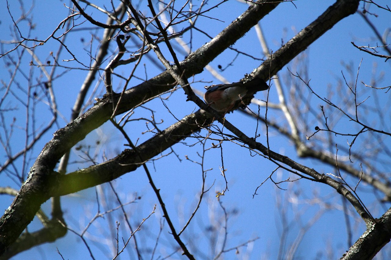 e0167295_2157672.jpg