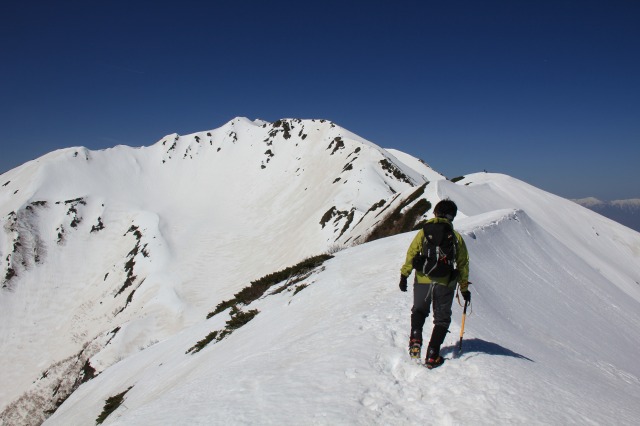 c0213096_8493125.jpg
