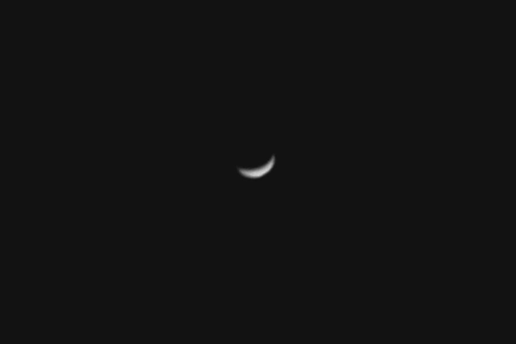 カワセミ空中戦/大黒点/昨夜の金星_b0024798_1014780.jpg