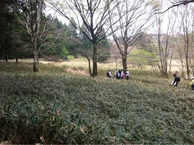 休み疲れ_d0178999_18403071.jpg