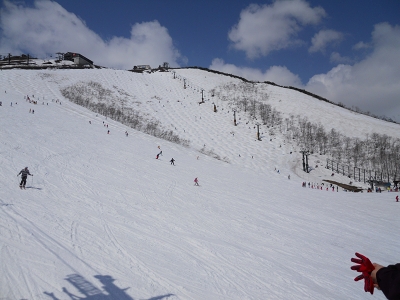 e0090501_2194532.jpg