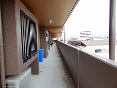 e0238112_724645.jpg