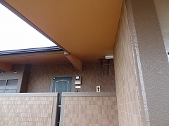 e0238112_7265191.jpg
