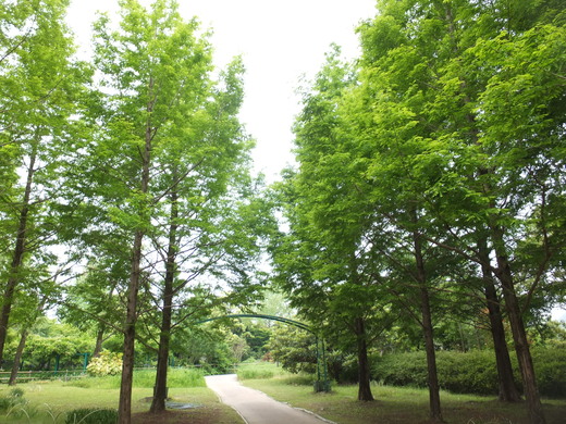 e0135518_1551072.jpg
