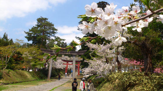 岩木山神社の*2012.05.09(弘前市)_b0147224_16175936.jpg