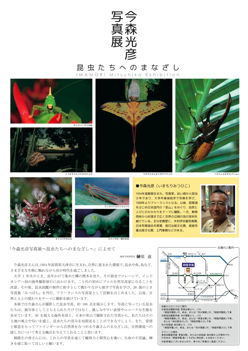 今森光彦氏 写真展「昆虫たちへのまなざし」_b0187229_18542220.jpg