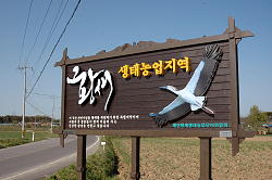 12/4/30　韓国のコウノトリ放鳥予定地、イェサンに立つ！_f0004331_14252395.jpg