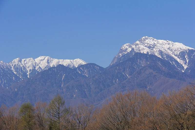 f0229832_1044055.jpg